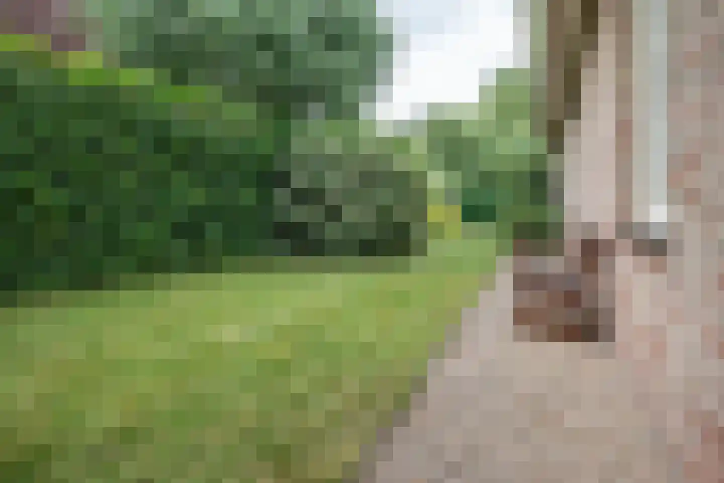 Korenmolenweg 25 a Bleiswijk thumbnail 31