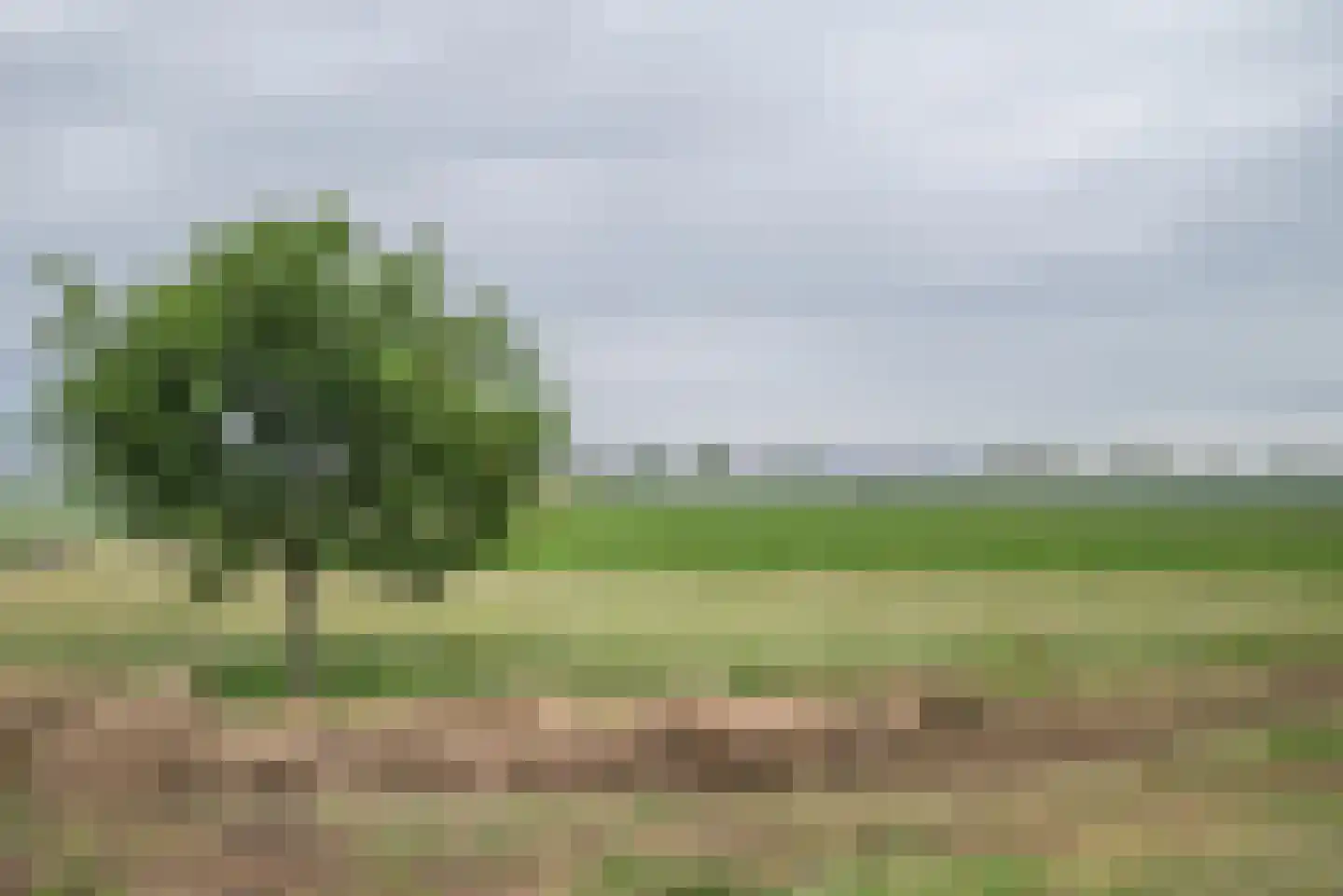 Korenmolenweg 25 a Bleiswijk thumbnail 33