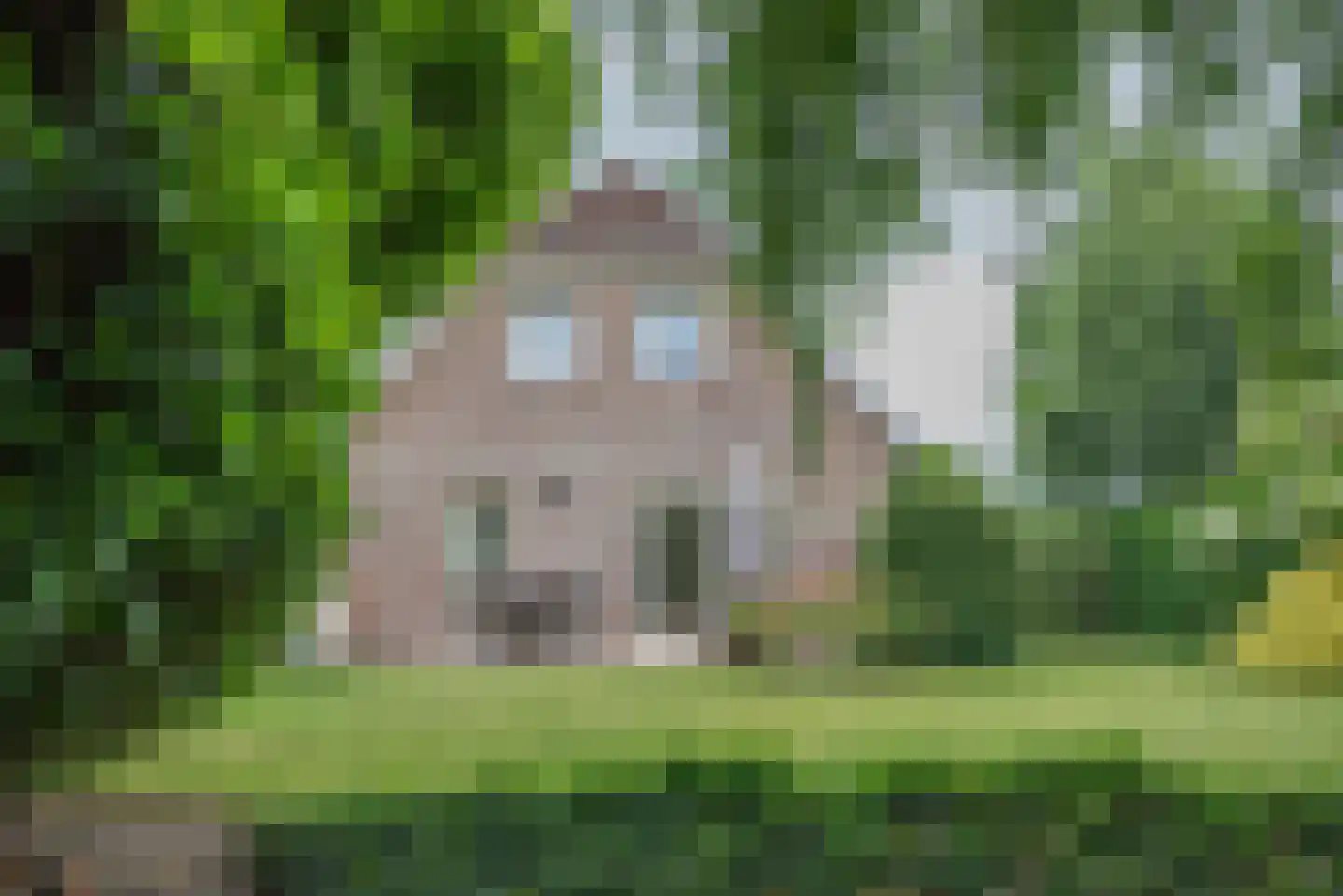 Korenmolenweg 25 a Bleiswijk thumbnail 4