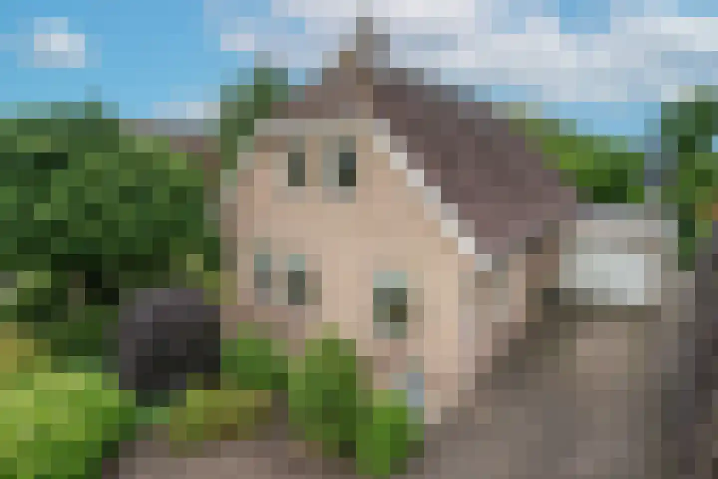 Korenmolenweg 25 a Bleiswijk thumbnail 5