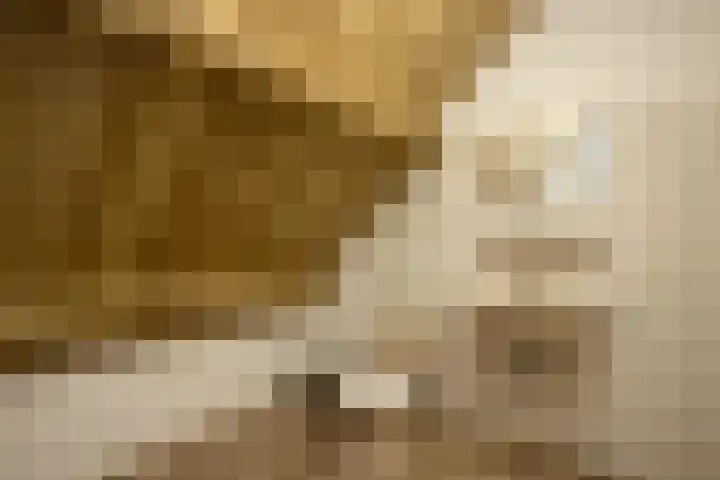 Korenpad 3 Diessen thumbnail 17