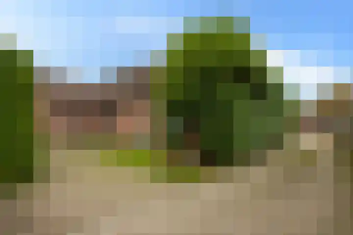 Korenpad 3 Diessen thumbnail 18