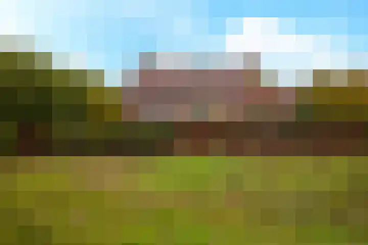Korenpad 3 Diessen foto 2