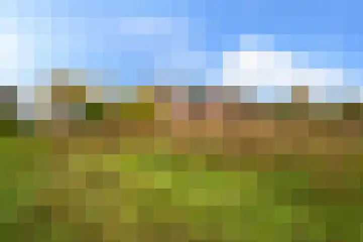 Korenpad 3 Diessen thumbnail 22
