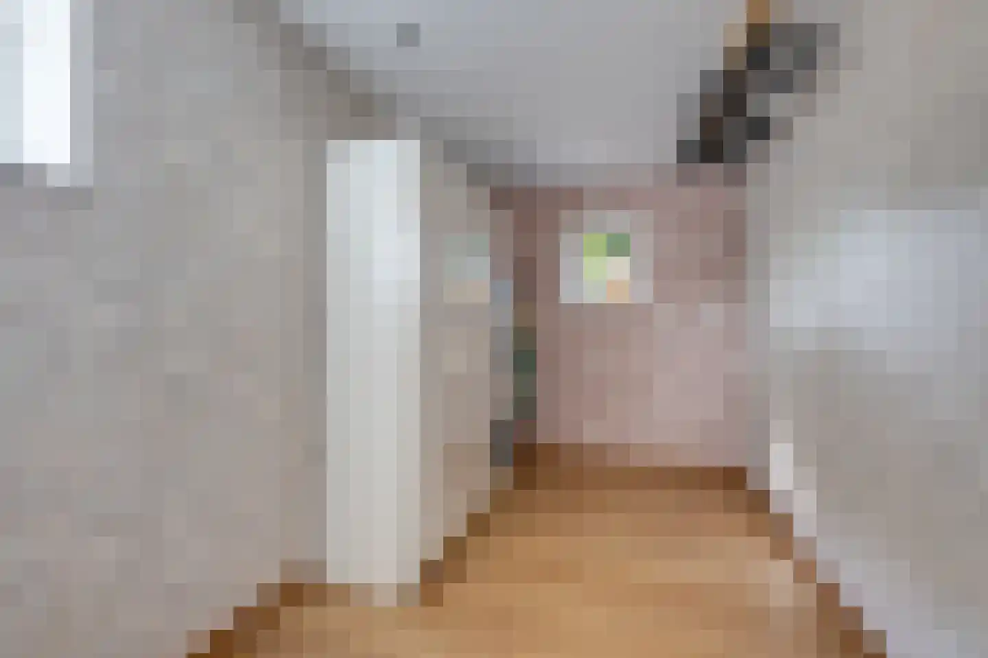 Korenpad 5 Prinsenbeek thumbnail 16
