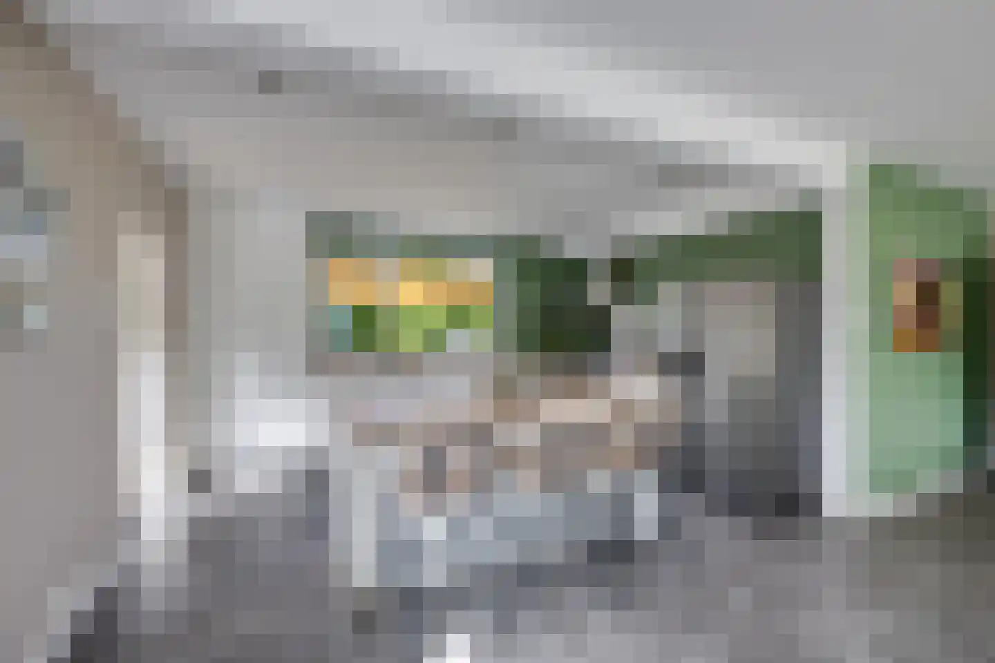Korenpad 5 Prinsenbeek thumbnail 19