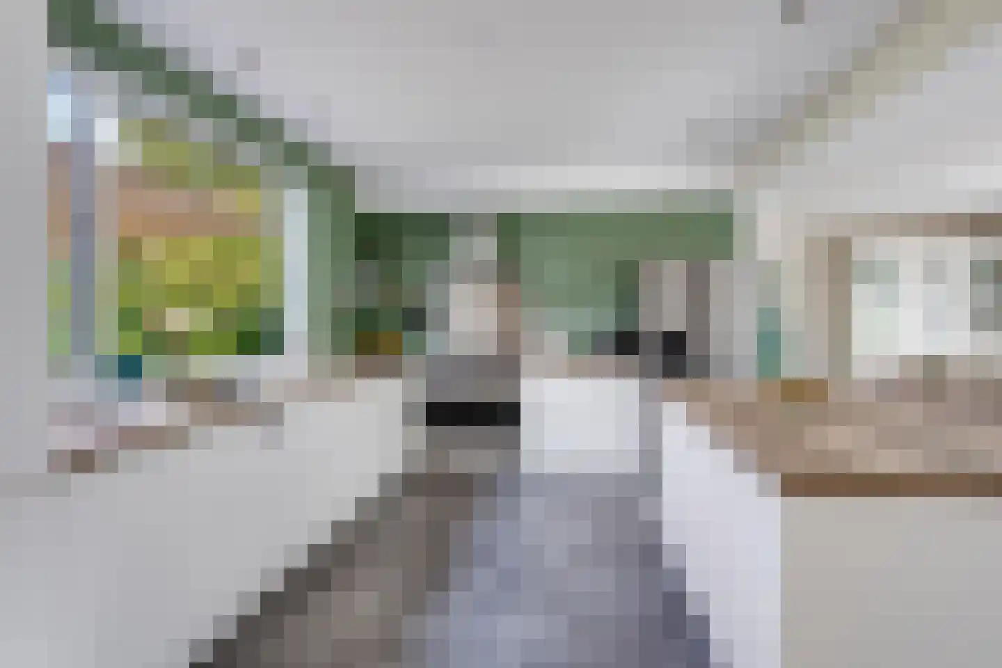 Korenpad 5 Prinsenbeek thumbnail 20