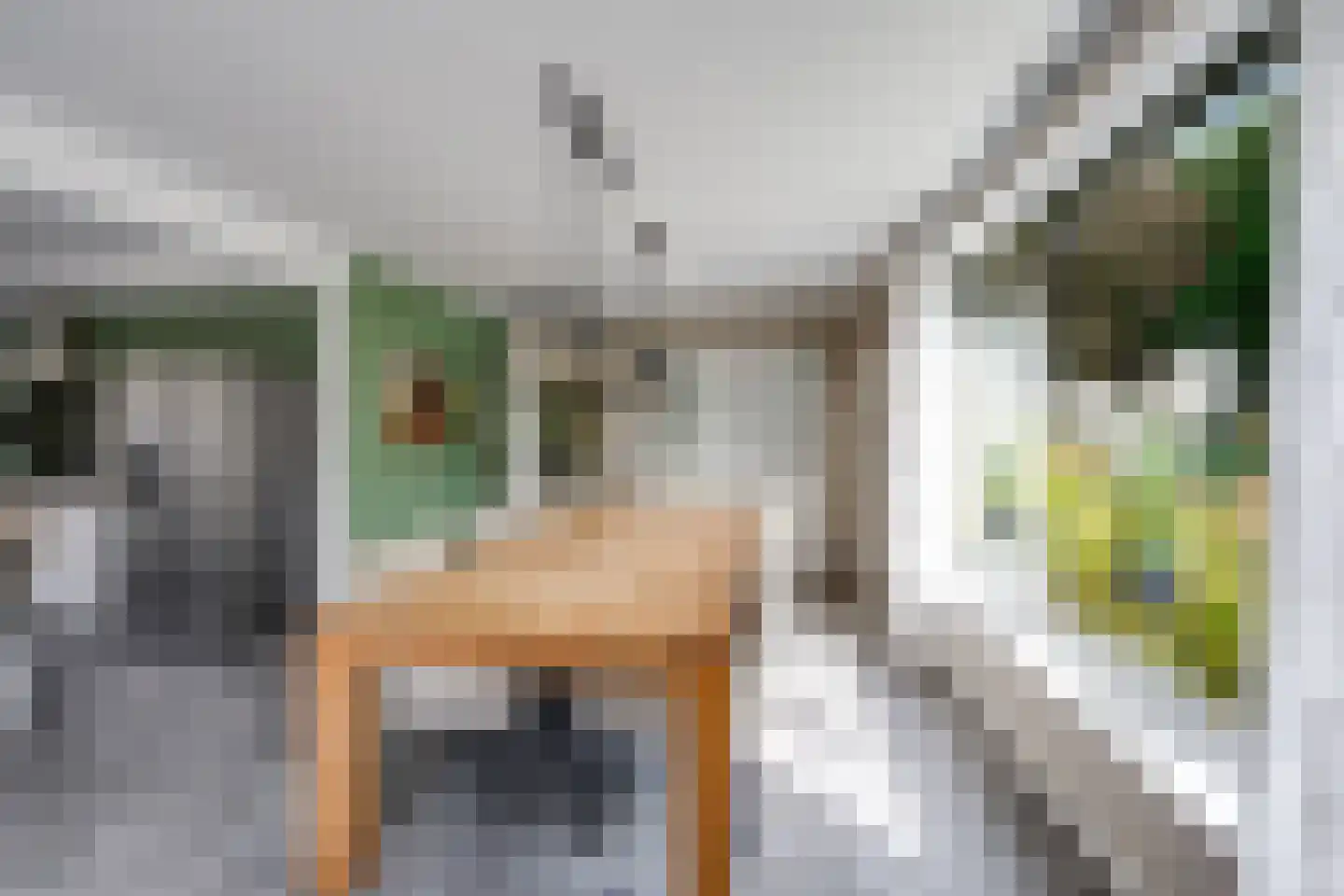 Korenpad 5 Prinsenbeek thumbnail 21