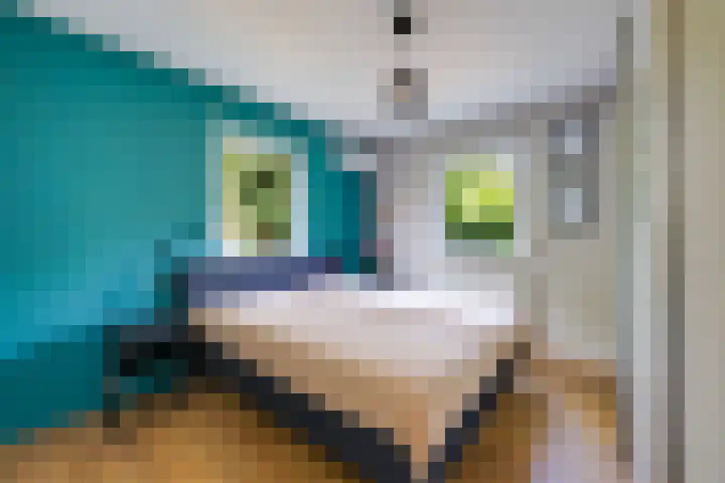 Korenpad 5 Prinsenbeek thumbnail 24
