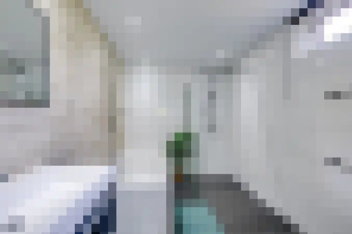 Korenpad 5 Prinsenbeek thumbnail 26