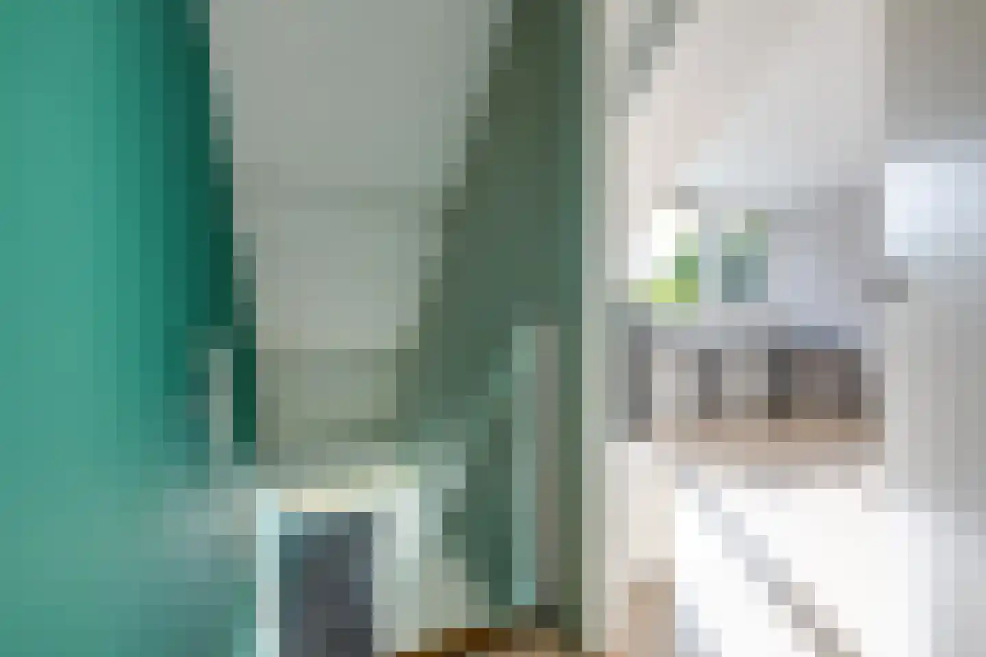 Korenpad 5 Prinsenbeek thumbnail 30