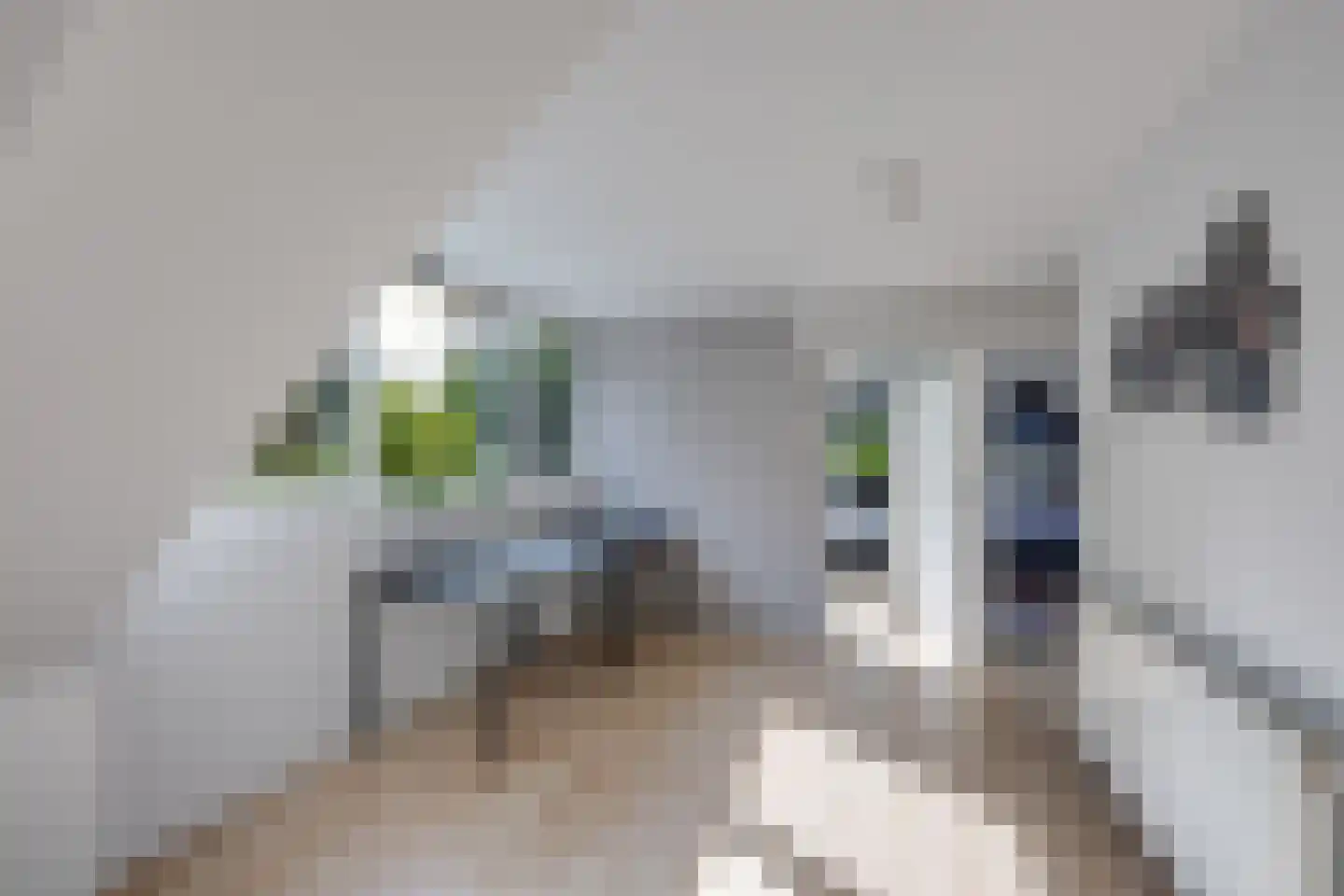 Korenpad 5 Prinsenbeek thumbnail 32