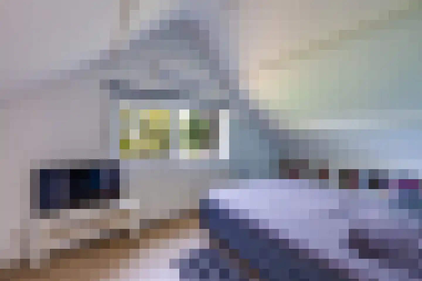 Korenpad 5 Prinsenbeek thumbnail 35