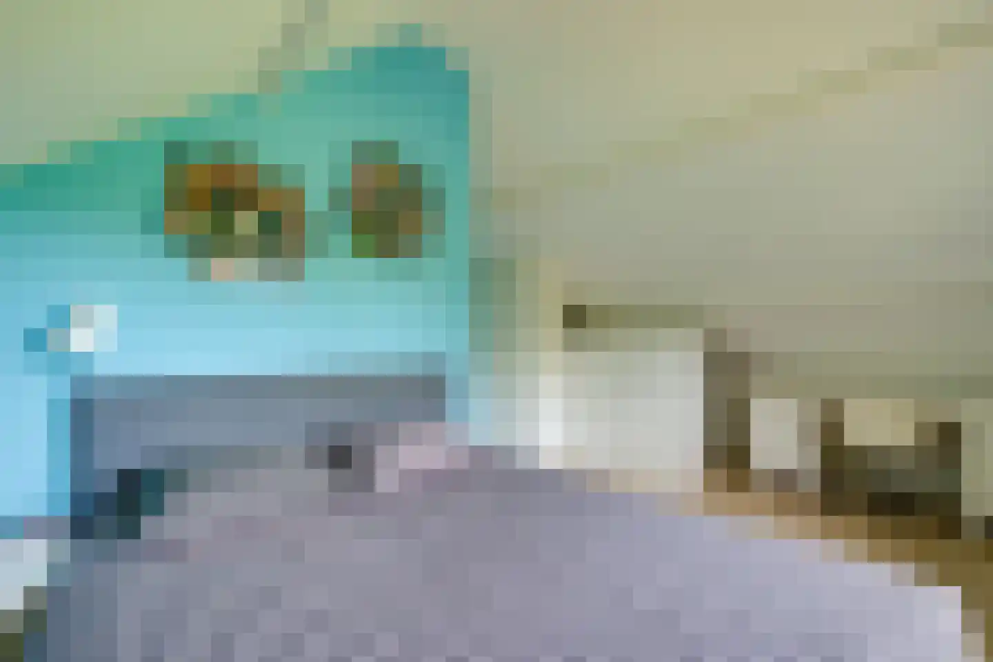 Korenpad 5 Prinsenbeek thumbnail 36
