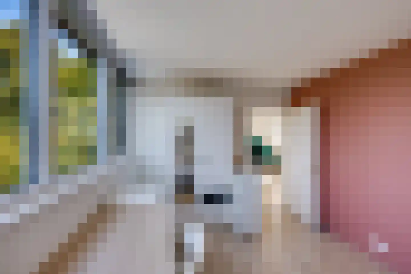 Korenpad 5 Prinsenbeek thumbnail 38