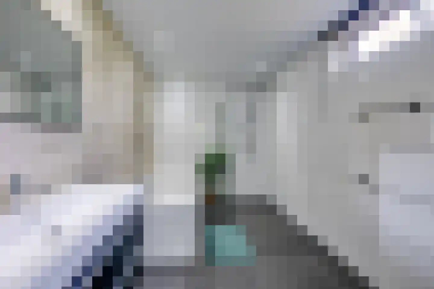 Korenpad 5 Prinsenbeek thumbnail 5
