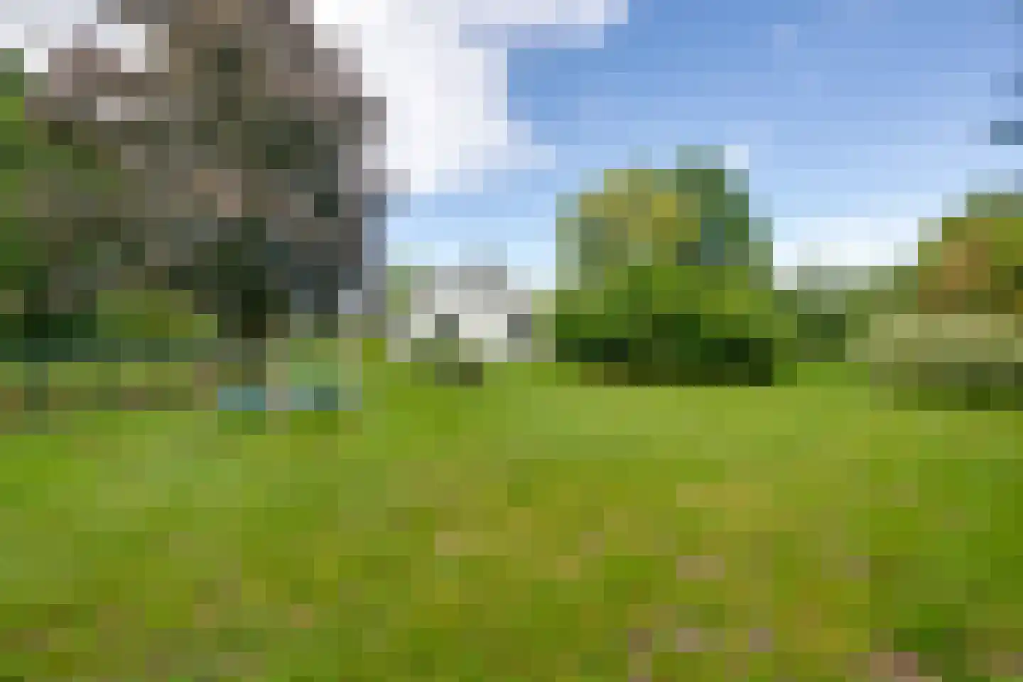 Korenpad 5 Prinsenbeek thumbnail 53