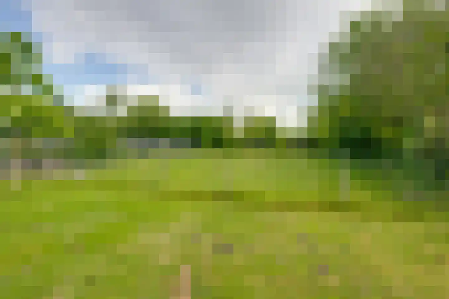 Korenpad 5 Prinsenbeek thumbnail 55