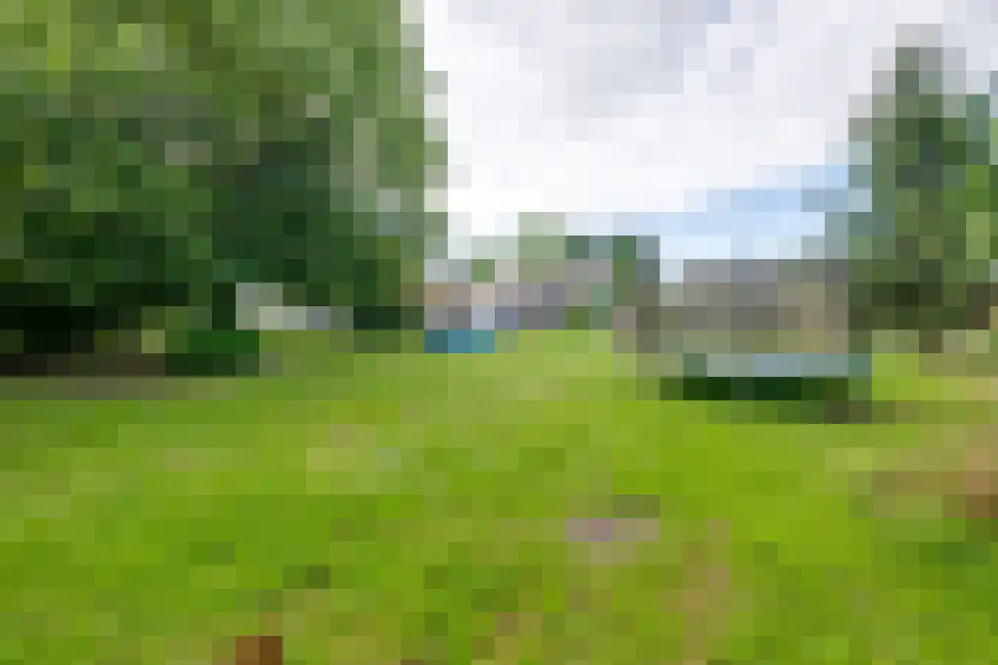 Korenpad 5 Prinsenbeek thumbnail 57