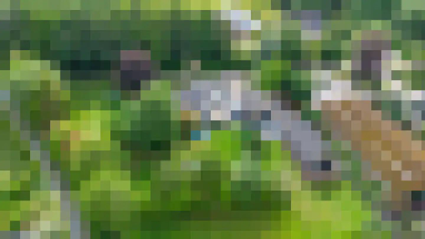 Korenpad 5 Prinsenbeek thumbnail 6