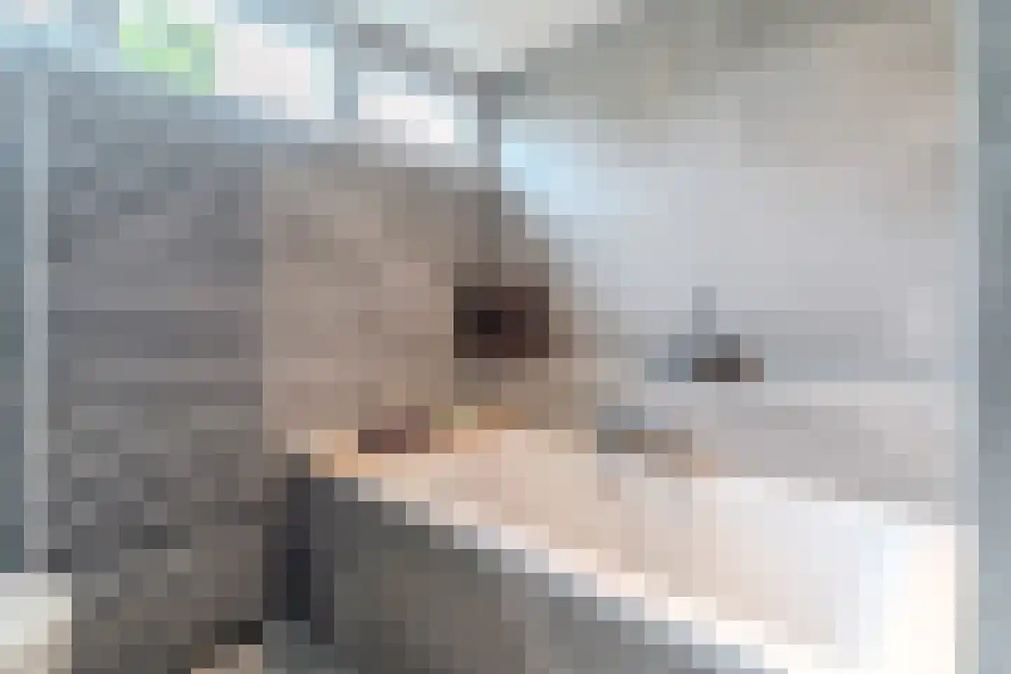 Korenschoof 28 Giessen thumbnail 24