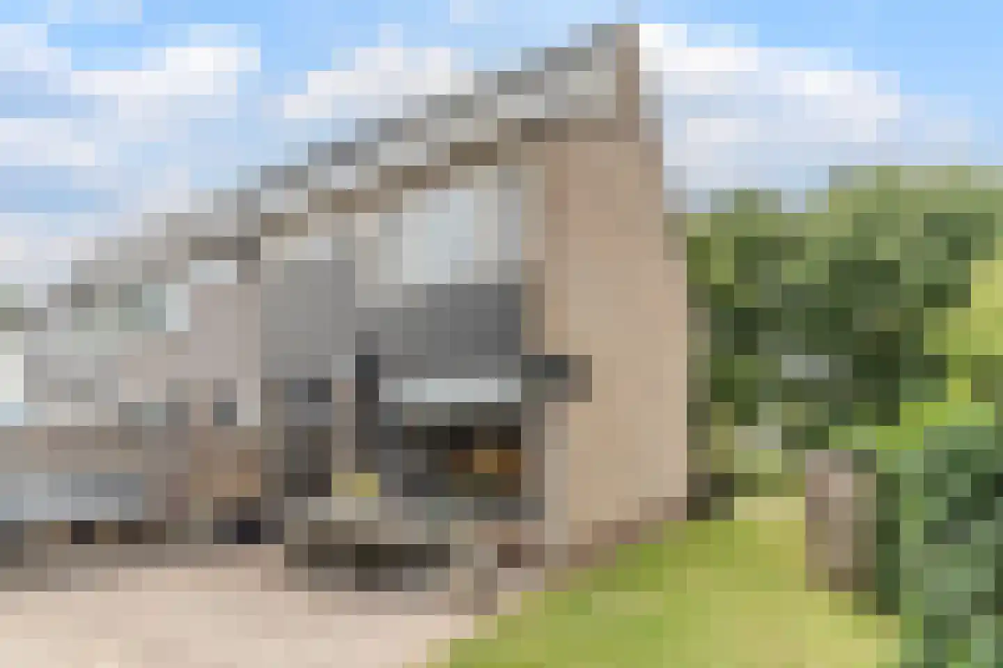 Korenschoof 28 Giessen thumbnail 31