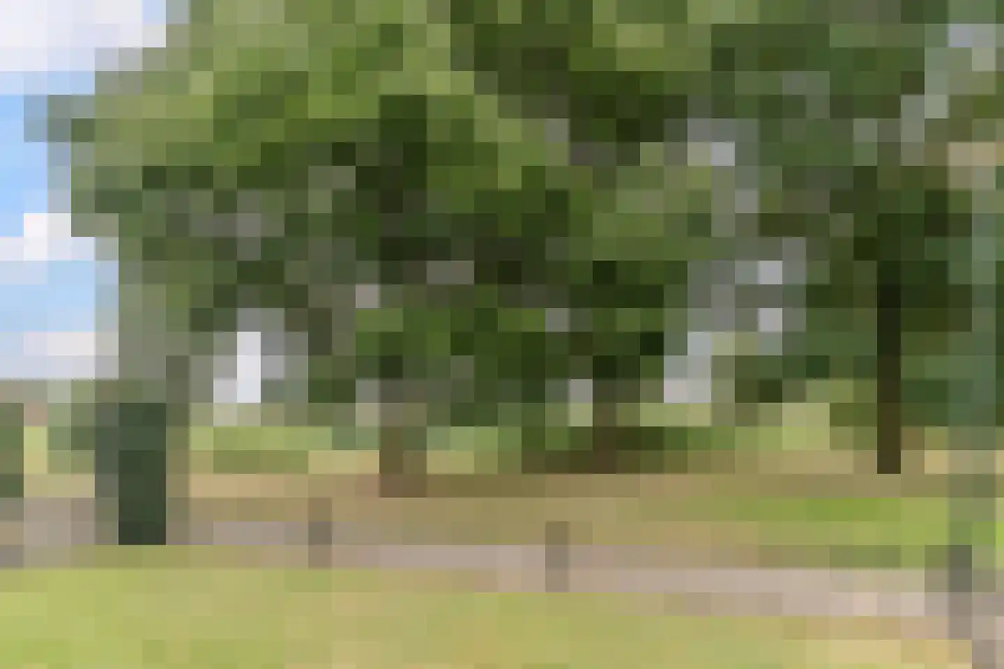 Korenschoof 28 Giessen thumbnail 4