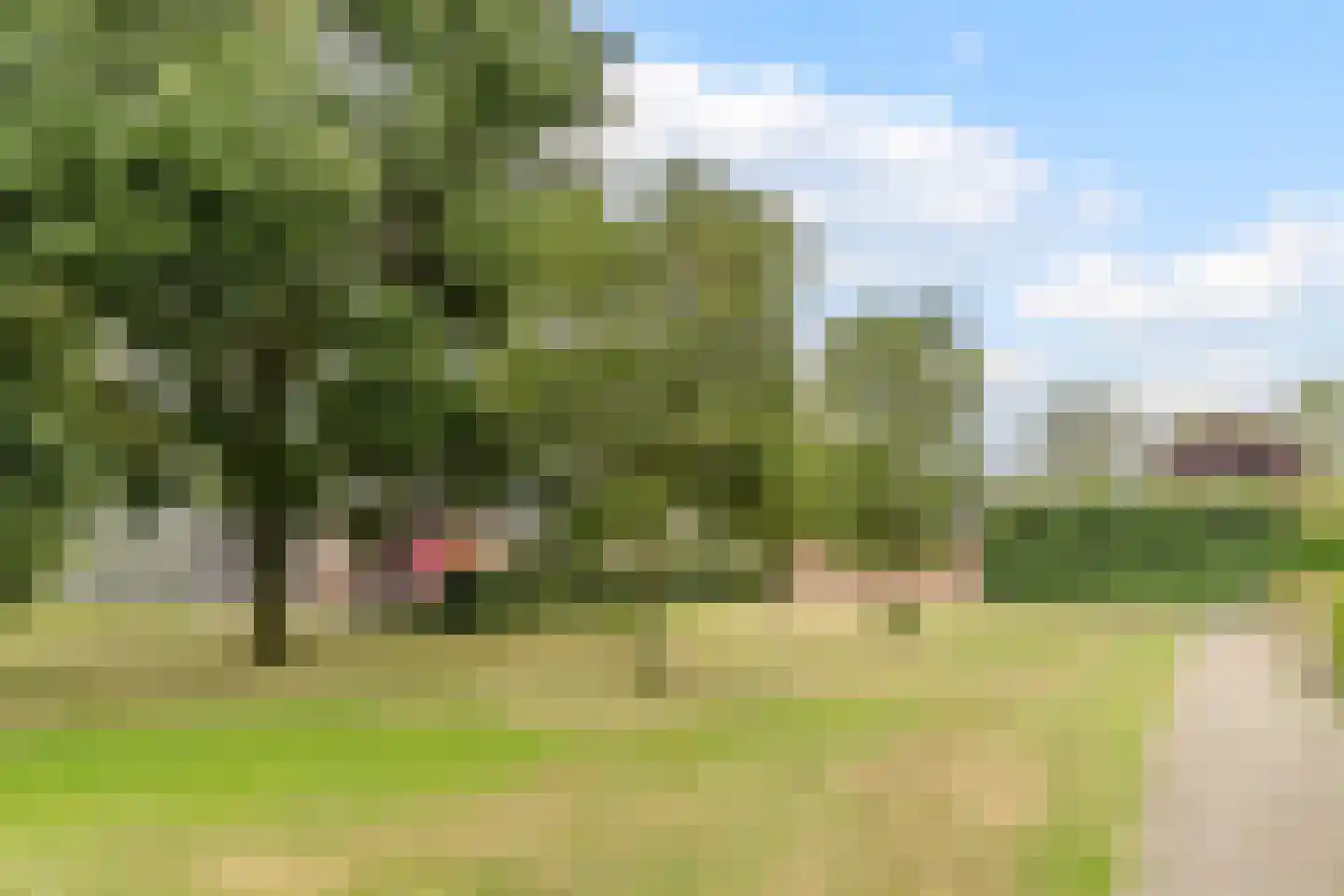 Korenschoof 28 Giessen thumbnail 40