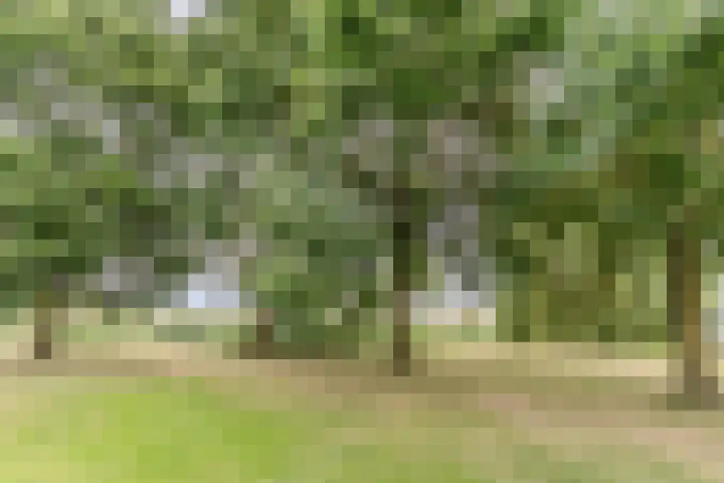 Korenschoof 28 Giessen thumbnail 41