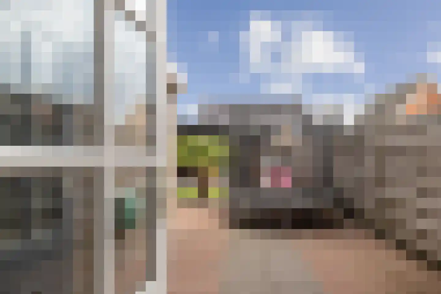 Korenschoof 7 Erica thumbnail 12