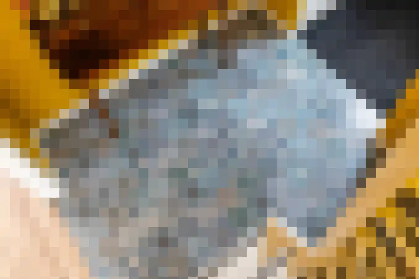 Korenschoof 7 Erica thumbnail 24