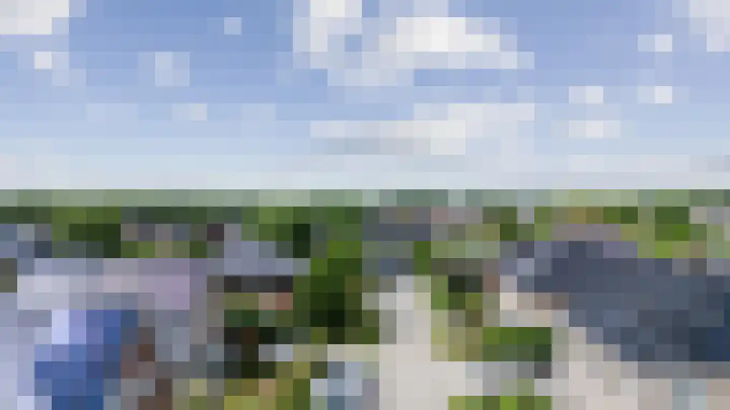 Korenschoof 7 Erica thumbnail 49