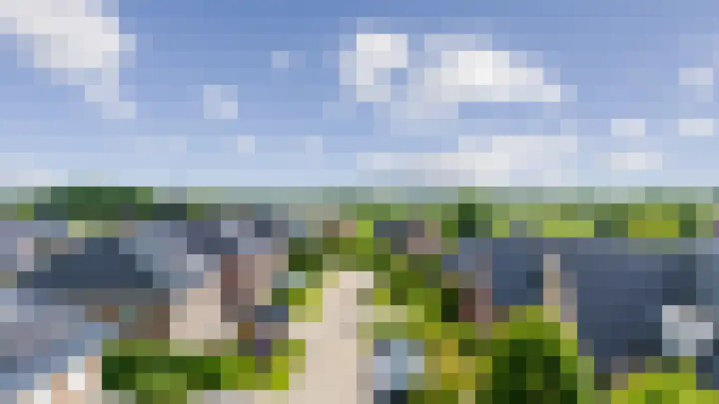 Korenschoof 7 Erica thumbnail 50