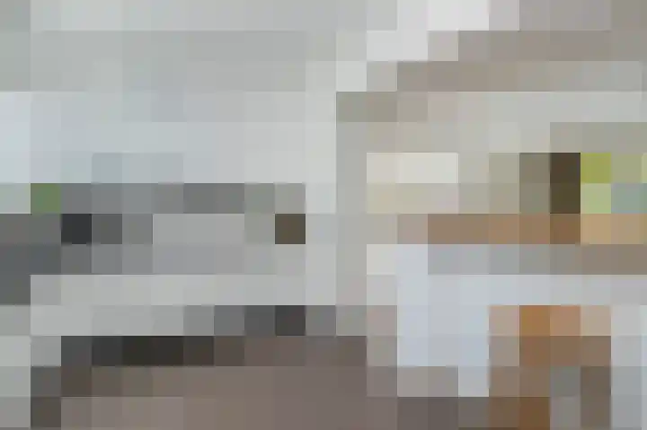 Korenschoof 8 Laren thumbnail 10