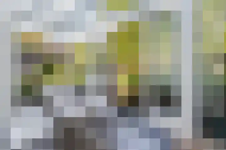 Korenschoof 8 Laren thumbnail 11