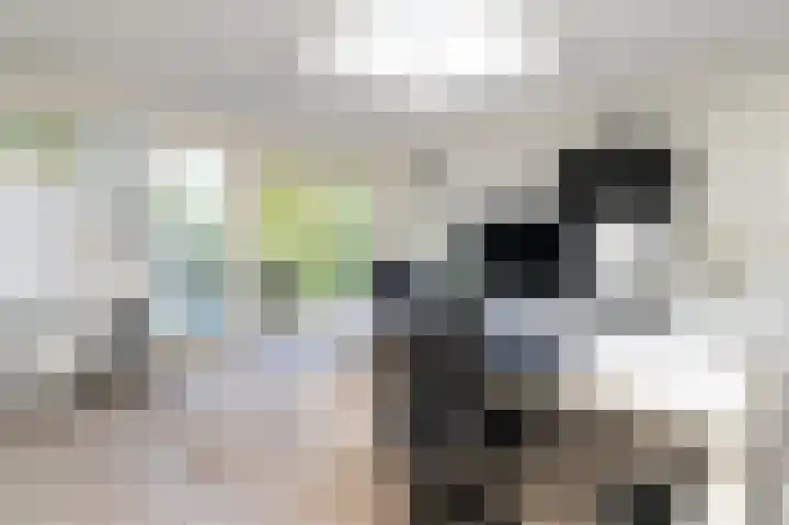 Korenschoof 8 Laren thumbnail 15