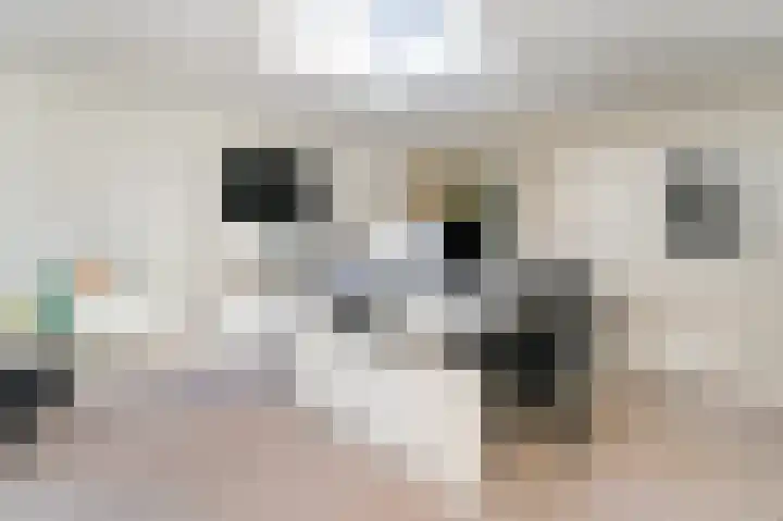 Korenschoof 8 Laren thumbnail 16