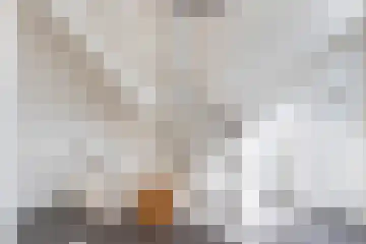Korenschoof 8 Laren thumbnail 17