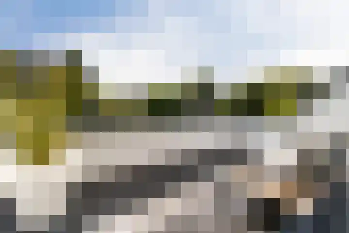 Korenschoof 8 Laren thumbnail 20