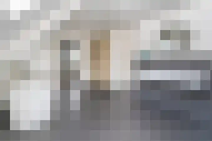 Korenschoof 8 Laren thumbnail 23
