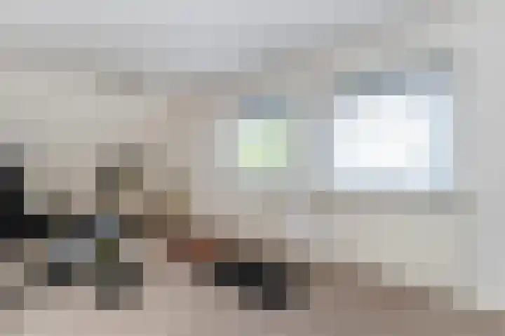 Korenschoof 8 Laren thumbnail 24