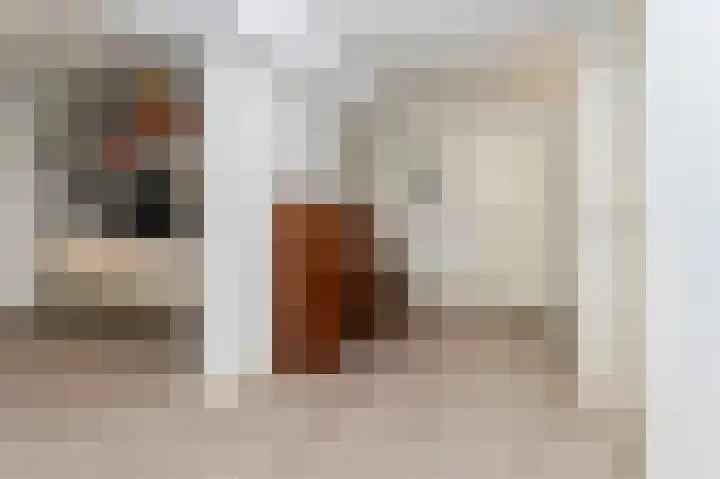 Korenschoof 8 Laren thumbnail 27