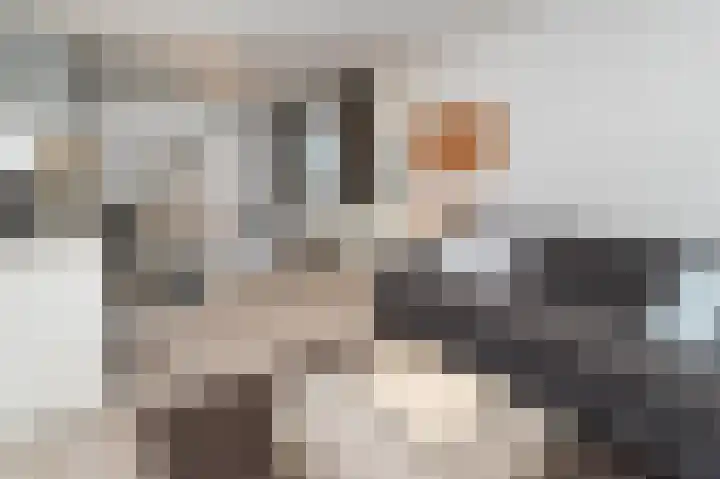 Korenschoof 8 Laren thumbnail 30
