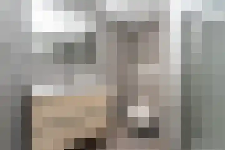 Korenschoof 8 Laren thumbnail 32