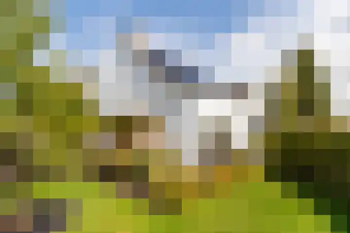 Korenschoof 8 Laren thumbnail 36