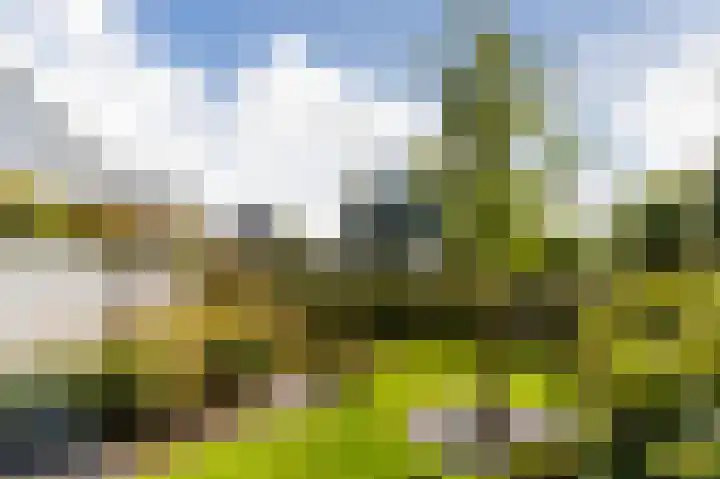 Korenschoof 8 Laren thumbnail 37