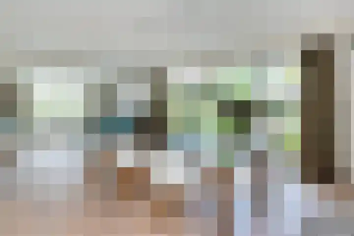 Korenschoof 8 Laren thumbnail 4