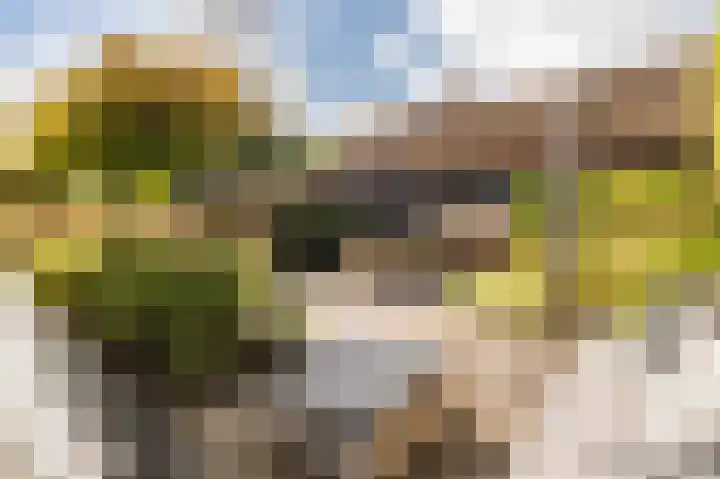 Korenschoof 8 Laren thumbnail 40