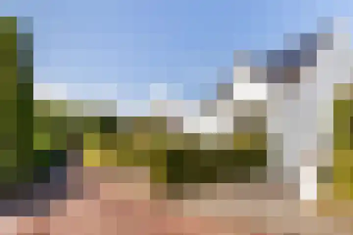 Korenschoof 8 Laren thumbnail 41