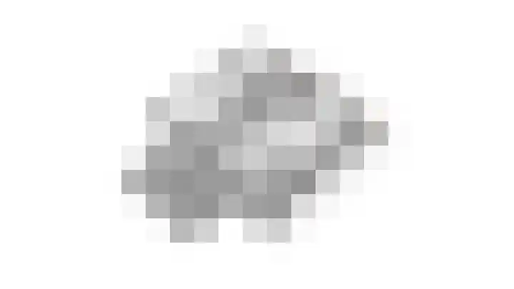 Korenschoof 8 Laren thumbnail 46